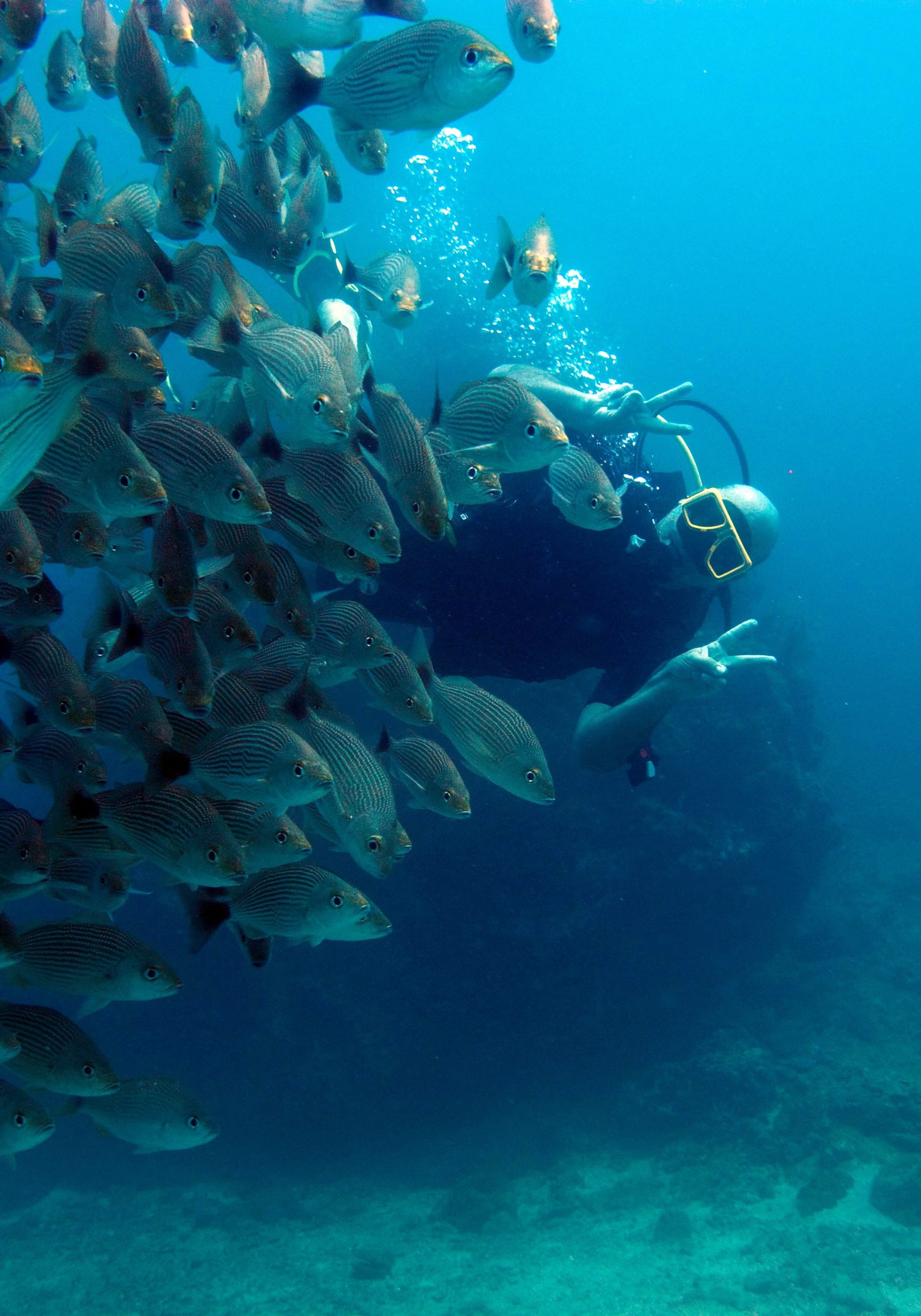 costa rica diving